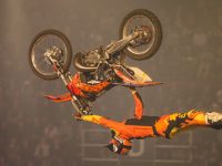 FMX WM – 2014