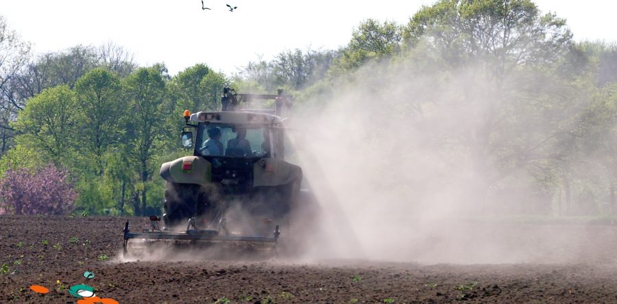 Kiebitze schützen + beobachten